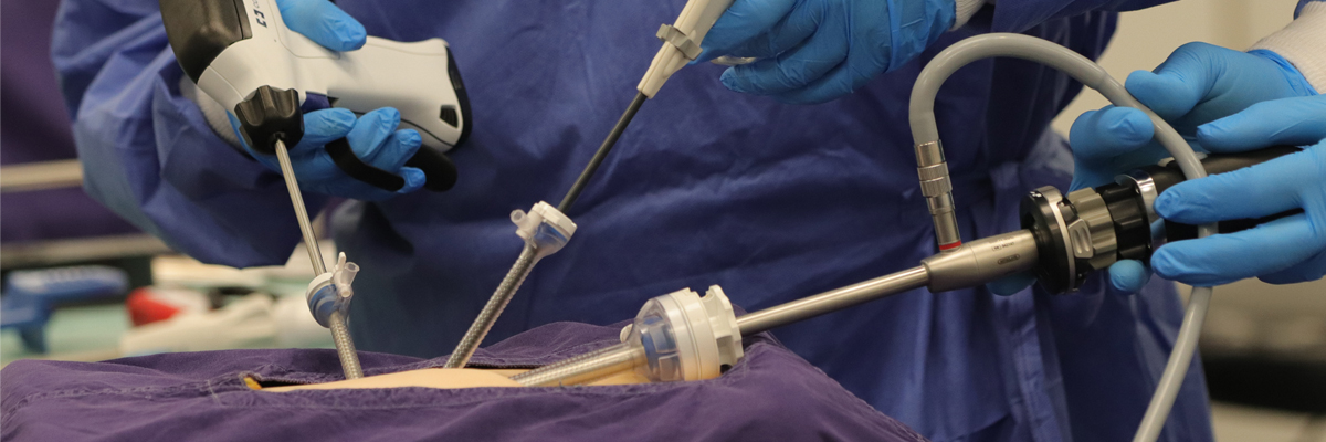 Cadaveric _Course